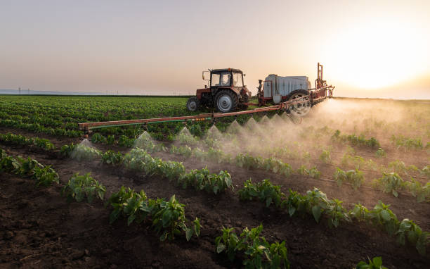 Best Pest Inspection Near Me  in Hayneville, AL