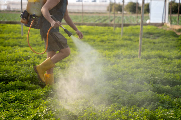 Best Affordable Pest Control Services  in Hayneville, AL