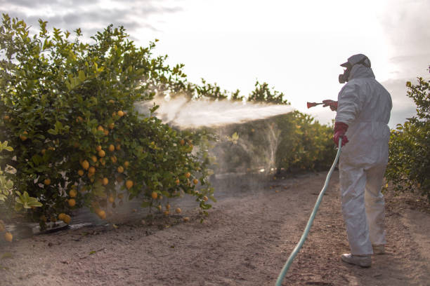 Trusted Hayneville, AL Pest Control Experts