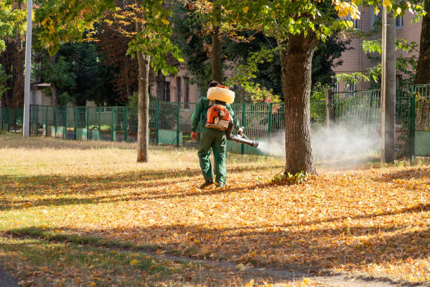 Best Best Pest Control Companies  in Hayneville, AL