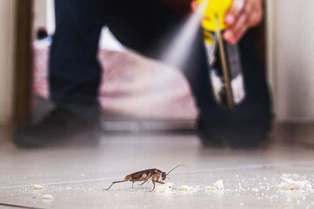 Best Mosquito Control Services  in Hayneville, AL