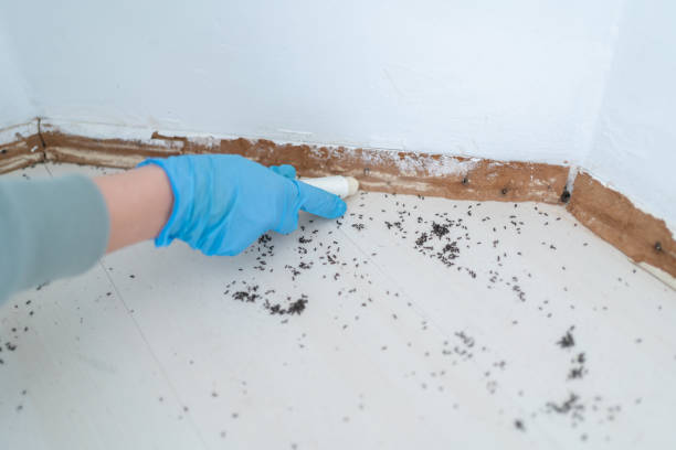 Pest Control for Restaurants in Hayneville, AL