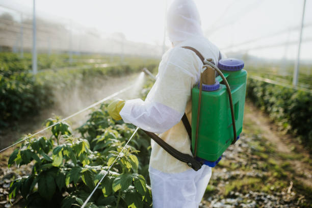 Best Pest Control for Restaurants  in Hayneville, AL